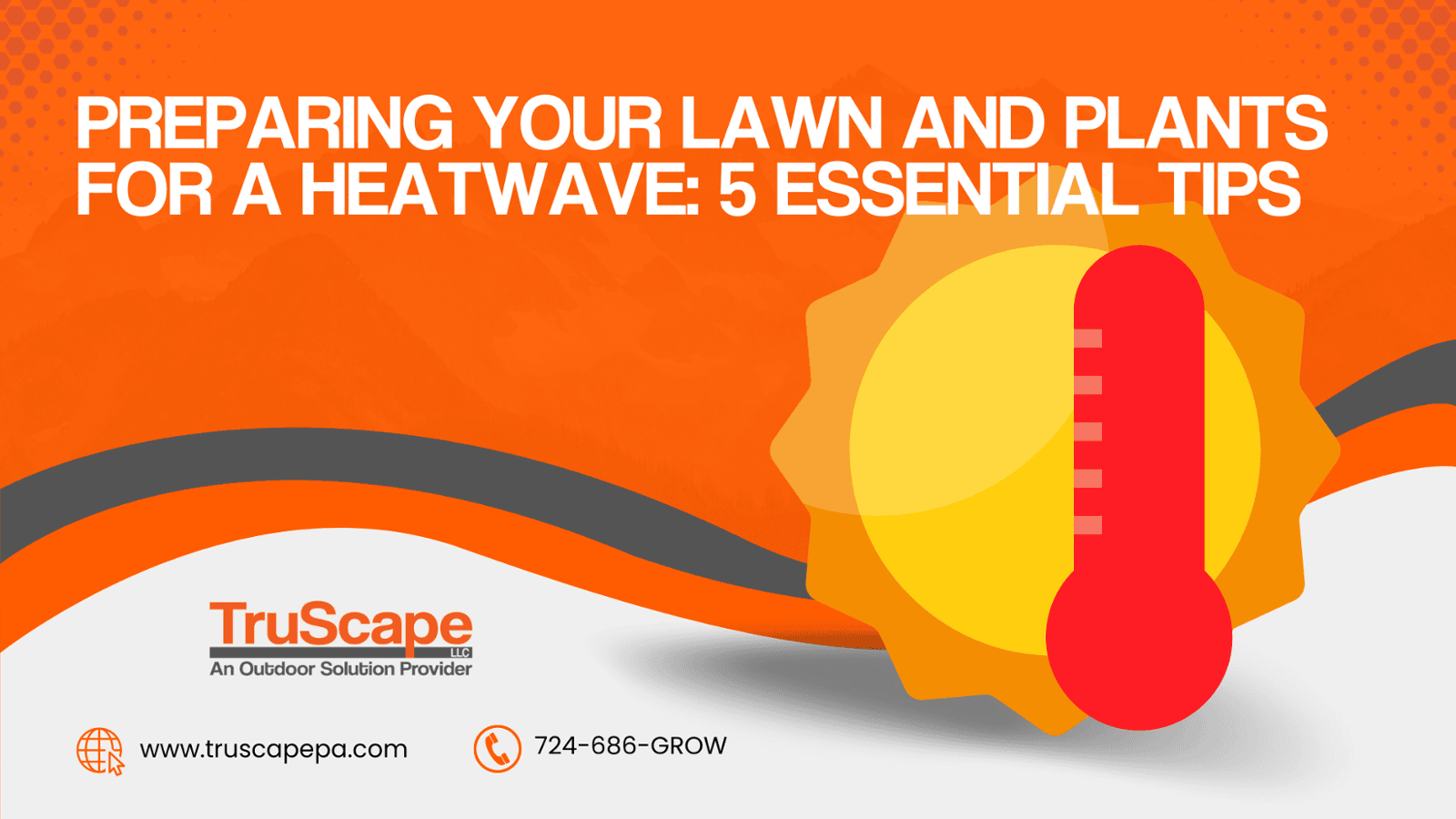 Preparing Your Lawn and Plants for a Heatwave: 5 Essential Tips